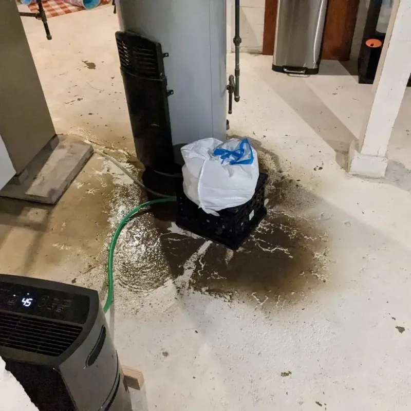 Sewage Backup Cleanup Service in Alma, KS
